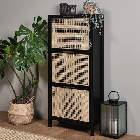 Arabesque Shoe Cabinet - 3 Door