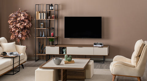 Janti Modern Tv Unit